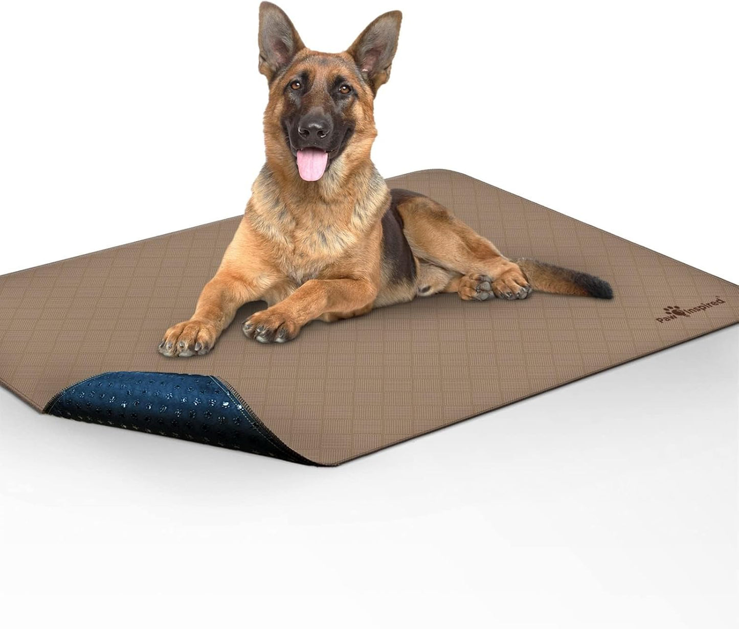 Washable Pee Pads for Dogs | Reusable Puppy Pads | Waterproof Whelping Pads | Washable Training Pet Pads, Washable Potty Pads (48X60 (1 Pack))