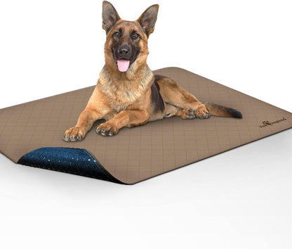 Washable Pee Pads for Dogs | Reusable Puppy Pads | Waterproof Whelping Pads | Washable Training Pet Pads, Washable Potty Pads (48X60 (1 Pack))
